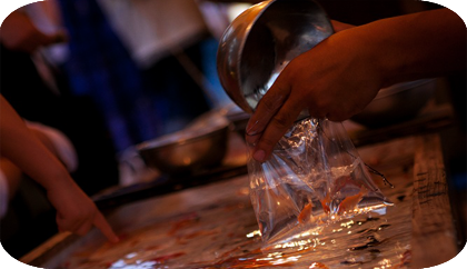 игра уфо-кетчер